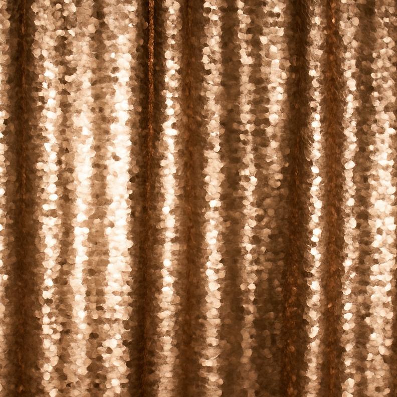 Gold Sequin Photo Booth Backdrop