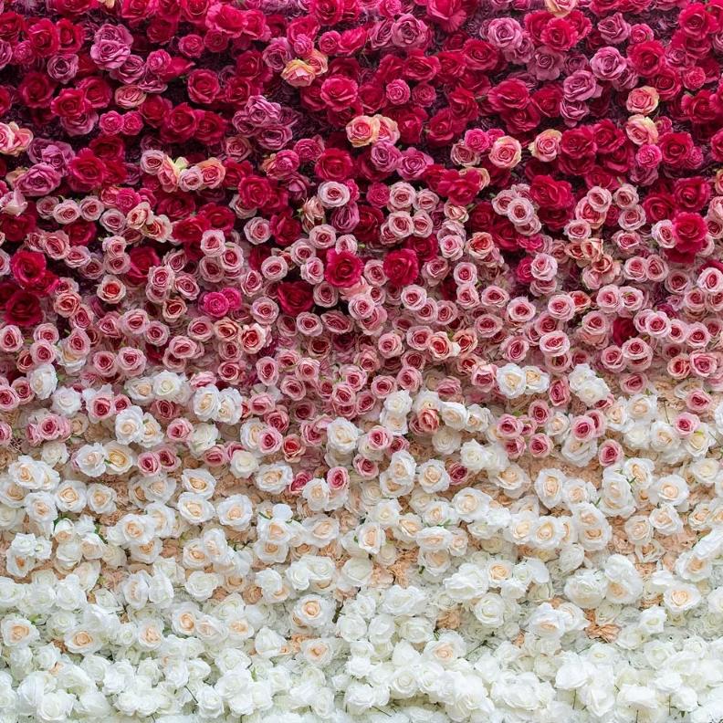 Ombre Flower Wall Backdrop