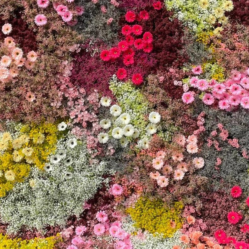 Wildflower Flower Wall Backdrop