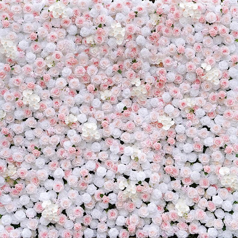 White Rose Flower Wall Rental Tampa