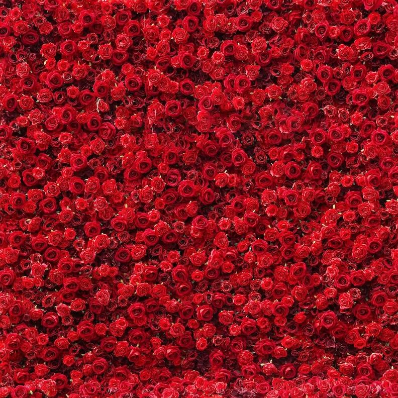 Rose Flower Wall Rental Tampa Photo Booth